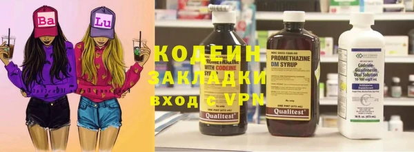 хмурый Аркадак