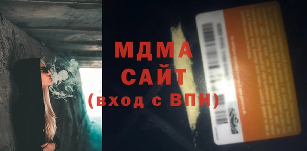 хмурый Аркадак
