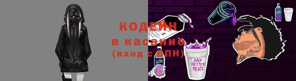 хмурый Аркадак