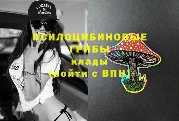бутират Арсеньев