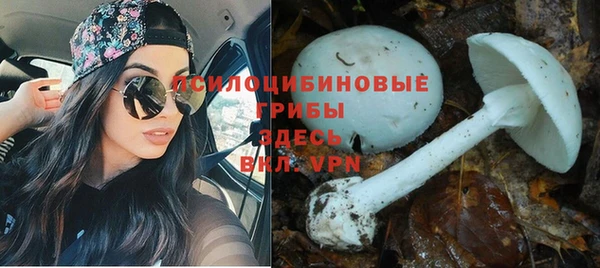 бутират Арсеньев