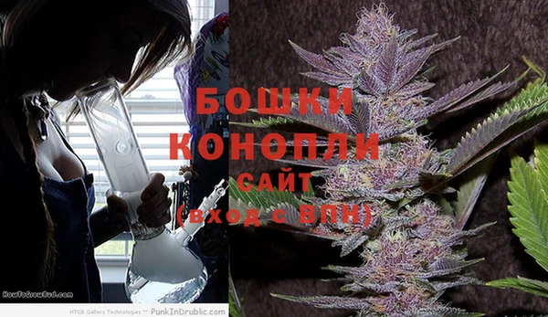 хмурый Аркадак