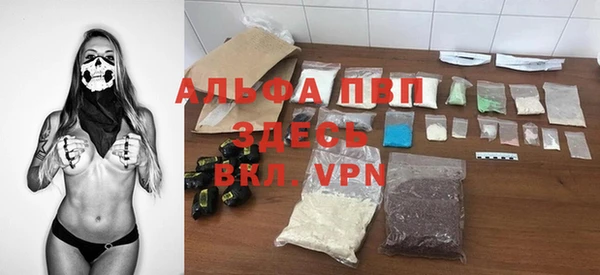 хмурый Аркадак